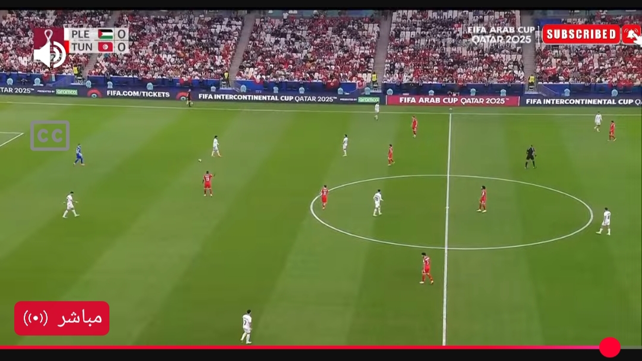 شغالة الان.. بث مباشر لمباراة تونس وفلسطين في كأس العرب بدون تقطيع.. جودة فائقة